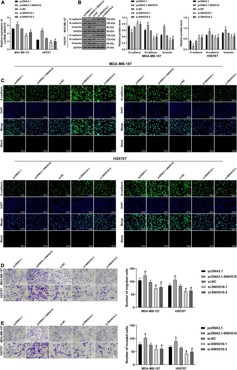 https://cdn.ncbi.nlm.nih.gov/pmc/blobs/a2ba/8267525/e7e48986daf9/fcell-09-628573-g002.jpg