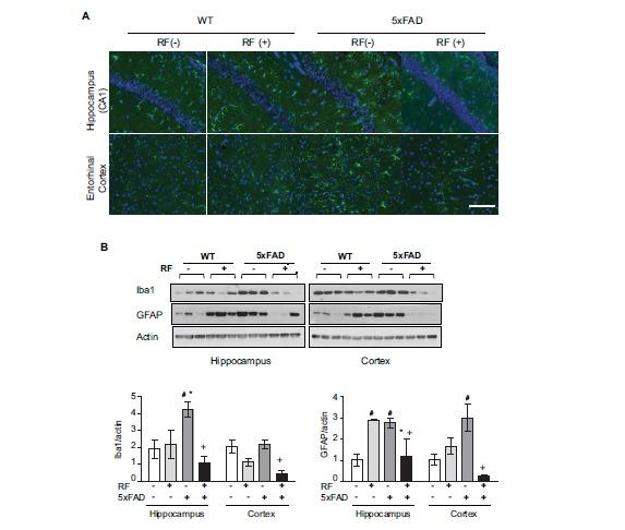 https://cdn.ncbi.nlm.nih.gov/pmc/blobs/a2bc/5445699/c212ef4daf88/CAR-12-481_F4.jpg