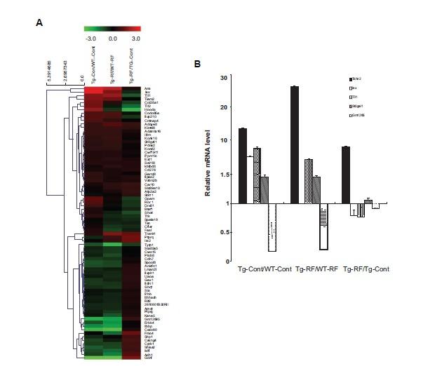 https://cdn.ncbi.nlm.nih.gov/pmc/blobs/a2bc/5445699/e3a1dda1a54b/CAR-12-481_F6.jpg