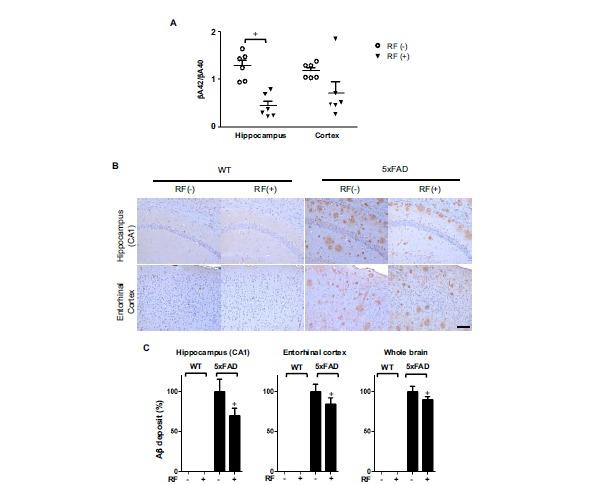 https://cdn.ncbi.nlm.nih.gov/pmc/blobs/a2bc/5445699/f184d1e36f0d/CAR-12-481_F1.jpg