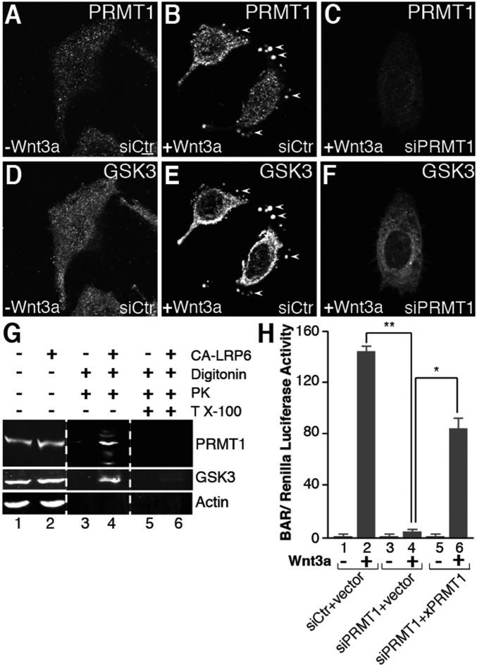 https://cdn.ncbi.nlm.nih.gov/pmc/blobs/a2be/6003351/7150c6f64dcc/pnas.1804091115fig05.jpg