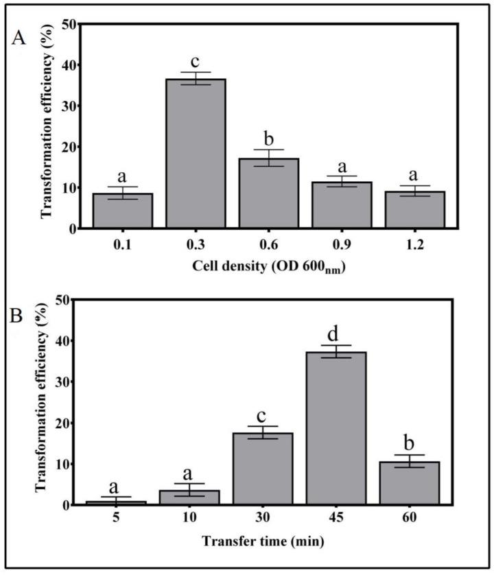 https://cdn.ncbi.nlm.nih.gov/pmc/blobs/a2be/7693413/28450cde4d6e/genes-11-01293-g002.jpg