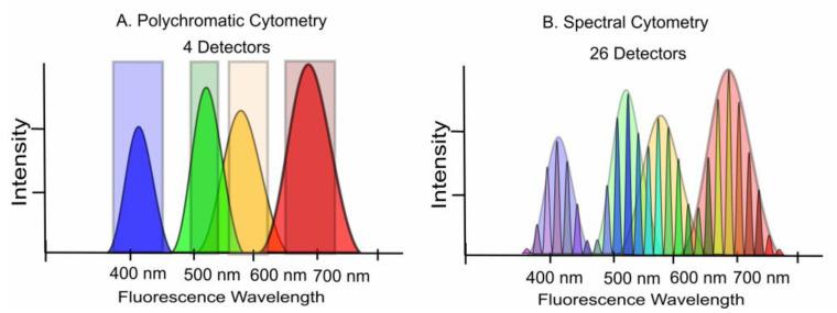 https://cdn.ncbi.nlm.nih.gov/pmc/blobs/a2bf/10378642/7076758a80e3/cells-12-01875-g002.jpg