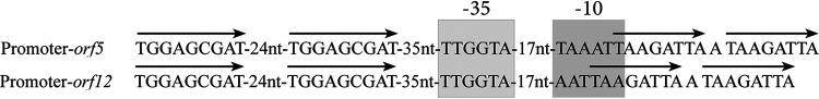 https://cdn.ncbi.nlm.nih.gov/pmc/blobs/a2c3/8515946/0fd50d69a382/spectrum.00299-21-f005.jpg