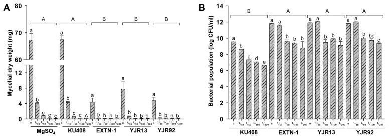 https://cdn.ncbi.nlm.nih.gov/pmc/blobs/a2c3/9929162/c87086424101/ppj-oa-01-2023-0001f4.jpg