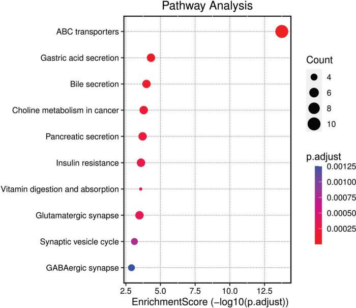 https://cdn.ncbi.nlm.nih.gov/pmc/blobs/a2c4/11376091/2b177c115a86/fnins-18-1442915-g004.jpg