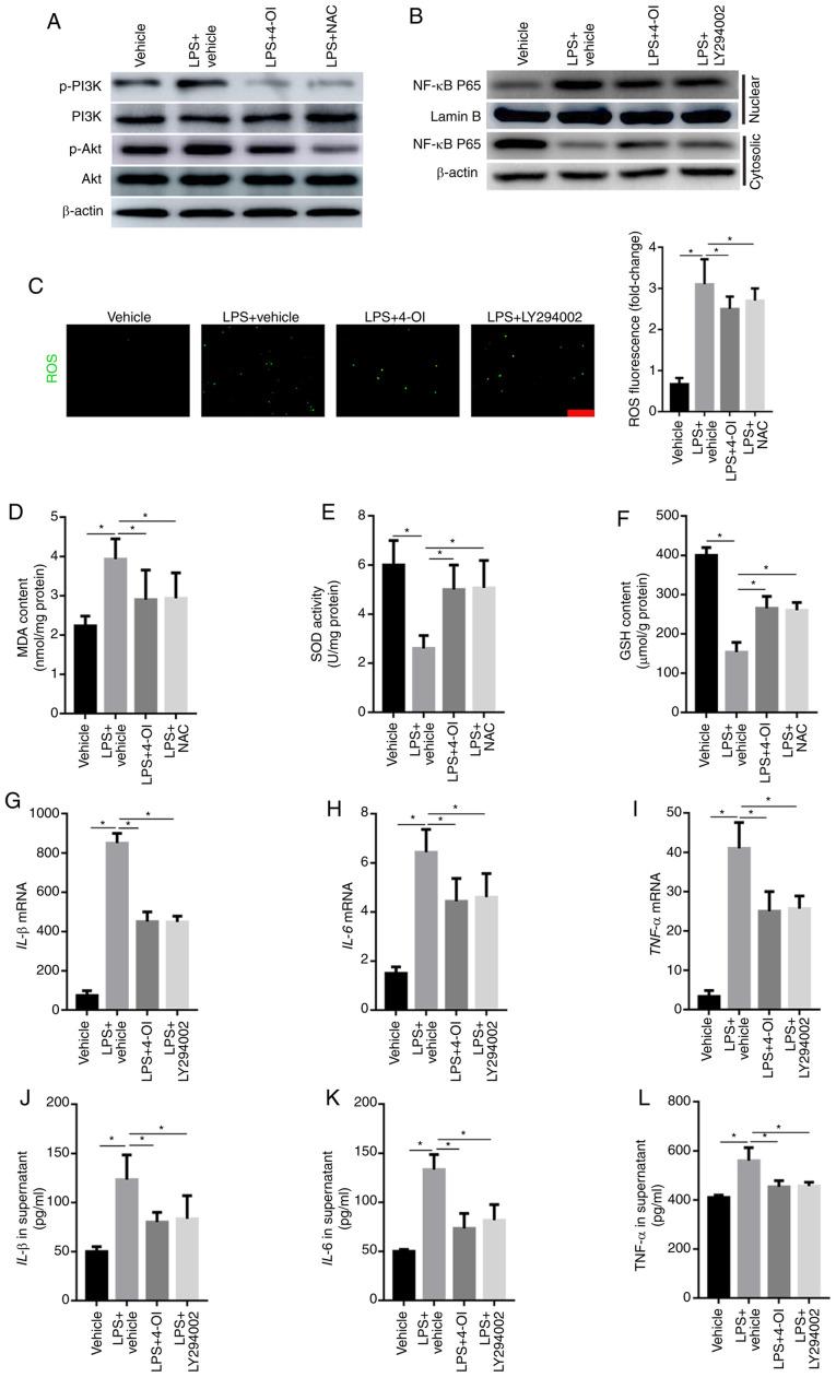 https://cdn.ncbi.nlm.nih.gov/pmc/blobs/a2c4/7791918/a819510beada/etm-21-02-09573-g03.jpg