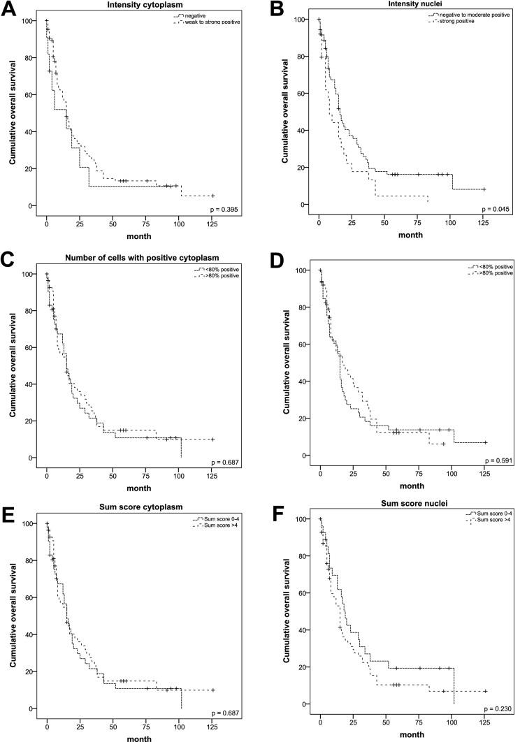 https://cdn.ncbi.nlm.nih.gov/pmc/blobs/a2c5/11802021/a8b1434e9d5d/432_2021_3745_Fig3_HTML.jpg