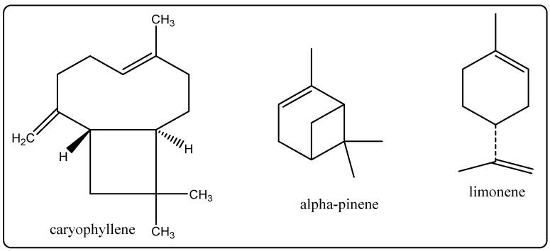 https://cdn.ncbi.nlm.nih.gov/pmc/blobs/a2c9/8837976/6563b5abdecd/molecules-27-00828-g008.jpg