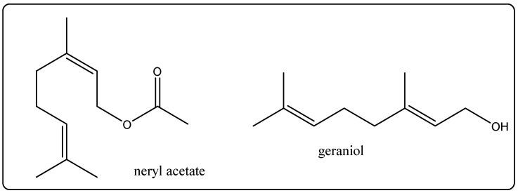 https://cdn.ncbi.nlm.nih.gov/pmc/blobs/a2c9/8837976/de4db355b5e4/molecules-27-00828-g009.jpg