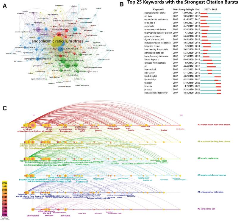 https://cdn.ncbi.nlm.nih.gov/pmc/blobs/a2cb/11142769/8a006db1c393/medi-103-e38450-g006.jpg