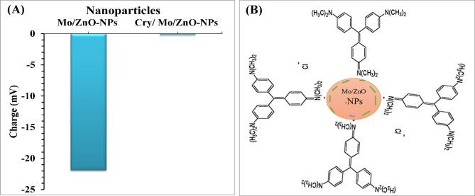 https://cdn.ncbi.nlm.nih.gov/pmc/blobs/a2cb/11782614/7a9eb7ea8275/41598_2025_86629_Fig4_HTML.jpg