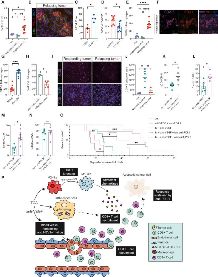 https://cdn.ncbi.nlm.nih.gov/pmc/blobs/a2cc/9580613/cbd5b58eeb5e/gr7.jpg