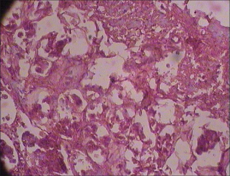 https://cdn.ncbi.nlm.nih.gov/pmc/blobs/a2cd/4492030/8c5dec443401/AYU-35-433-g007.jpg
