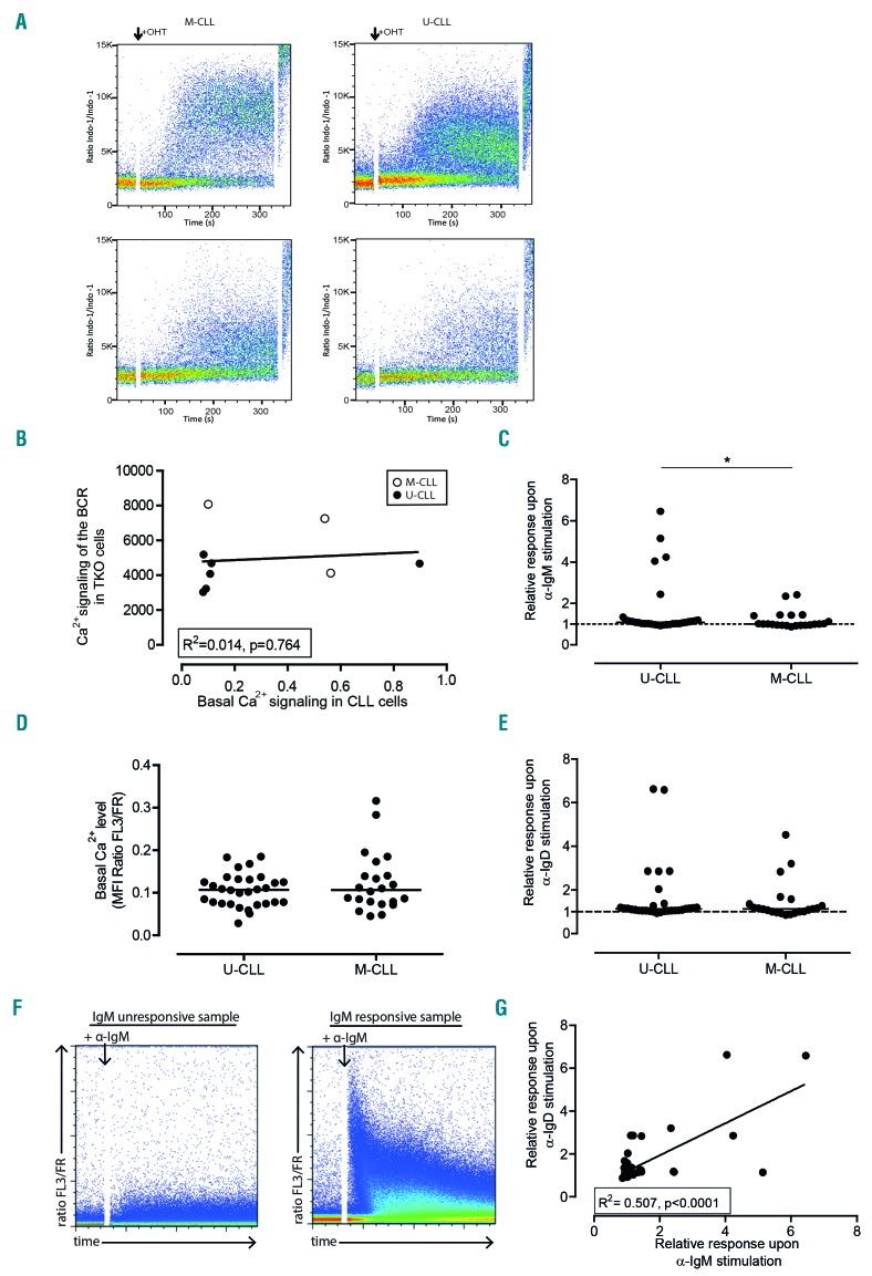 https://cdn.ncbi.nlm.nih.gov/pmc/blobs/a2cf/6939541/b1c42e98c167/105182.fig1.jpg