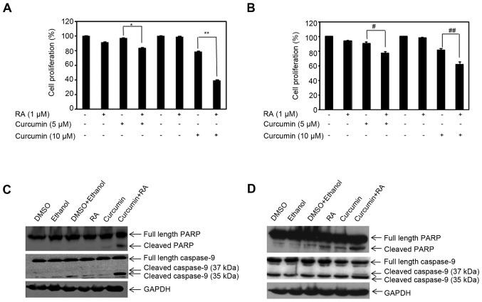 https://cdn.ncbi.nlm.nih.gov/pmc/blobs/a2d3/5367344/dafbd8b47506/OR-37-04-2007-g03.jpg