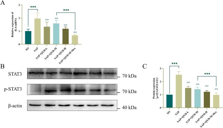https://cdn.ncbi.nlm.nih.gov/pmc/blobs/a2d9/11166164/34b09aef0123/DDDT-18-2043-g0010.jpg