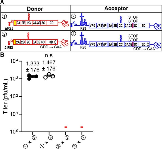 https://cdn.ncbi.nlm.nih.gov/pmc/blobs/a2d9/9894558/0c502a006aa5/pbio.3001693.g003.jpg