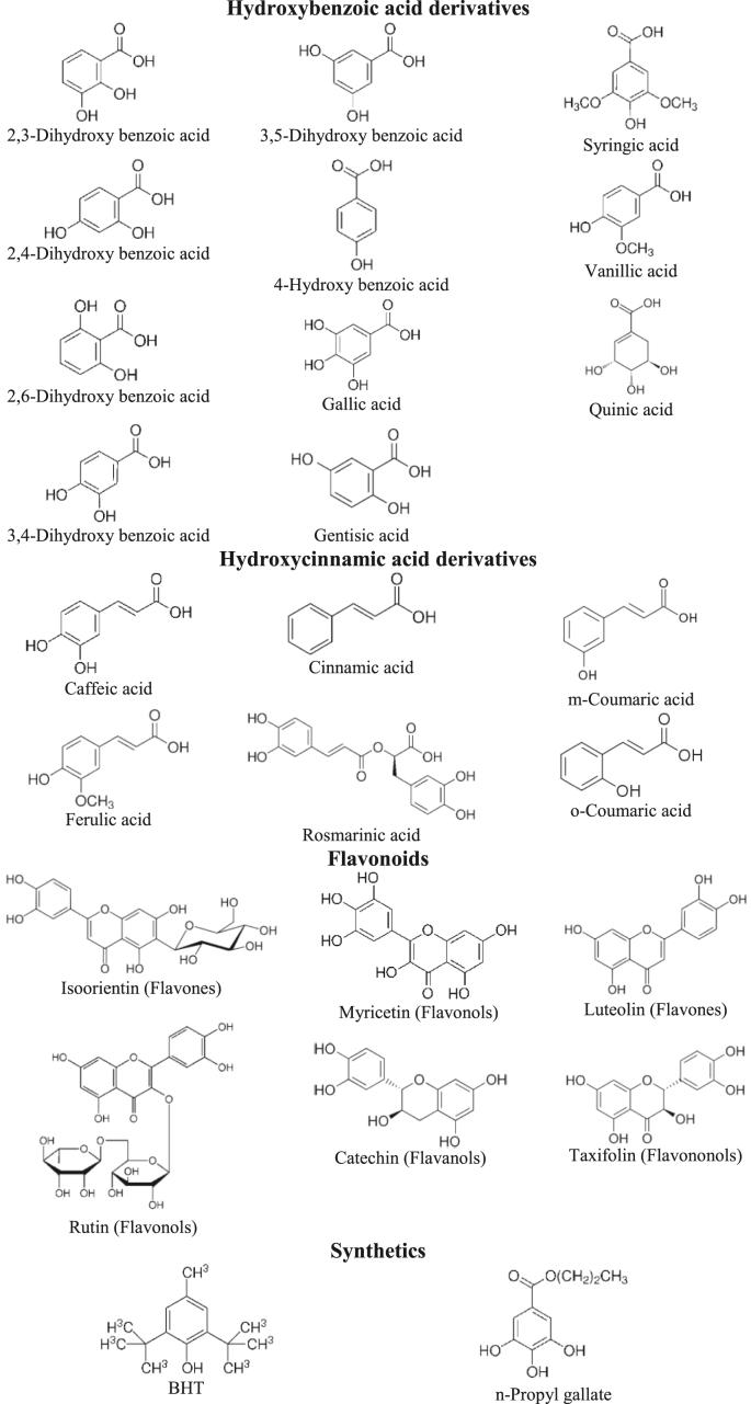 https://cdn.ncbi.nlm.nih.gov/pmc/blobs/a2da/9459676/184e71017434/gr1.jpg