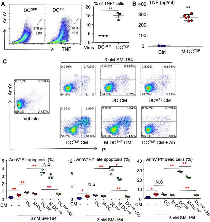 https://cdn.ncbi.nlm.nih.gov/pmc/blobs/a2db/11303651/553d5a7ba806/262_2024_3788_Fig4_HTML.jpg