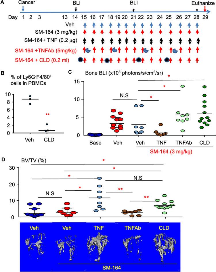 https://cdn.ncbi.nlm.nih.gov/pmc/blobs/a2db/11303651/90170c34cc43/262_2024_3788_Fig1_HTML.jpg