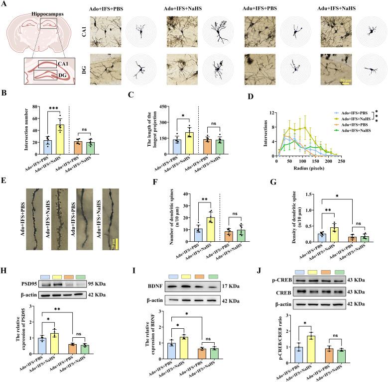 https://cdn.ncbi.nlm.nih.gov/pmc/blobs/a2db/12183304/060fbdcbe25d/fpsyt-16-1546737-g004.jpg