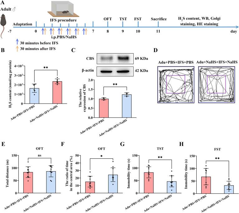 https://cdn.ncbi.nlm.nih.gov/pmc/blobs/a2db/12183304/3812a6c7bdf6/fpsyt-16-1546737-g005.jpg