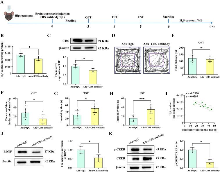 https://cdn.ncbi.nlm.nih.gov/pmc/blobs/a2db/12183304/85bcd888ac25/fpsyt-16-1546737-g007.jpg