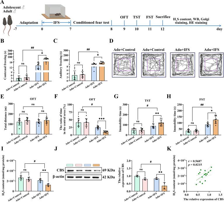 https://cdn.ncbi.nlm.nih.gov/pmc/blobs/a2db/12183304/c0c984152c28/fpsyt-16-1546737-g001.jpg