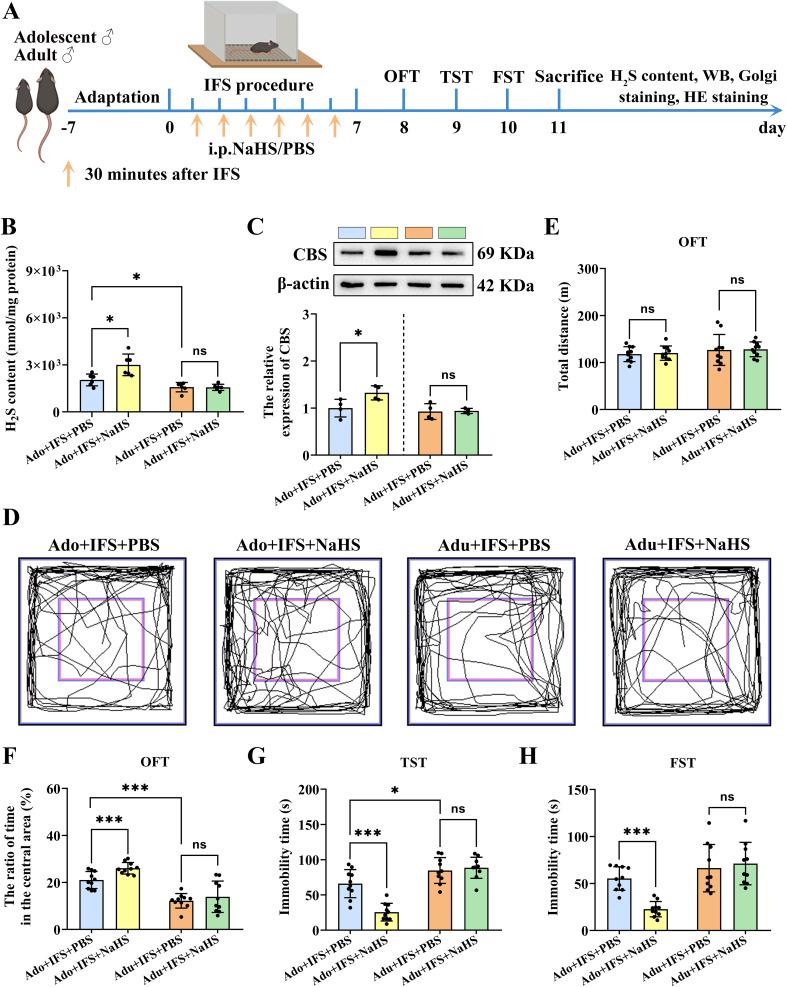 https://cdn.ncbi.nlm.nih.gov/pmc/blobs/a2db/12183304/e4f62ddc7cca/fpsyt-16-1546737-g003.jpg
