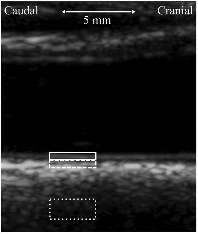 https://cdn.ncbi.nlm.nih.gov/pmc/blobs/a2dc/5186790/6b20845c2e87/fphys-07-00651-g0001.jpg