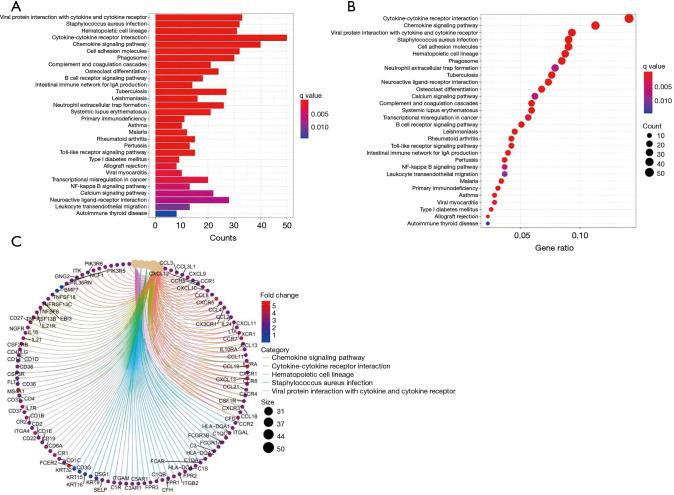 https://cdn.ncbi.nlm.nih.gov/pmc/blobs/a2dd/10080485/77a3a258332c/tp-12-03-364-f5.jpg