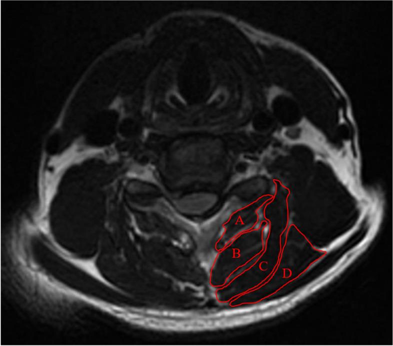 https://cdn.ncbi.nlm.nih.gov/pmc/blobs/a2dd/9254416/1cd07fc23ad4/12891_2022_5606_Fig2_HTML.jpg
