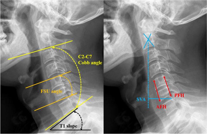 https://cdn.ncbi.nlm.nih.gov/pmc/blobs/a2dd/9254416/3190658a817e/12891_2022_5606_Fig3_HTML.jpg
