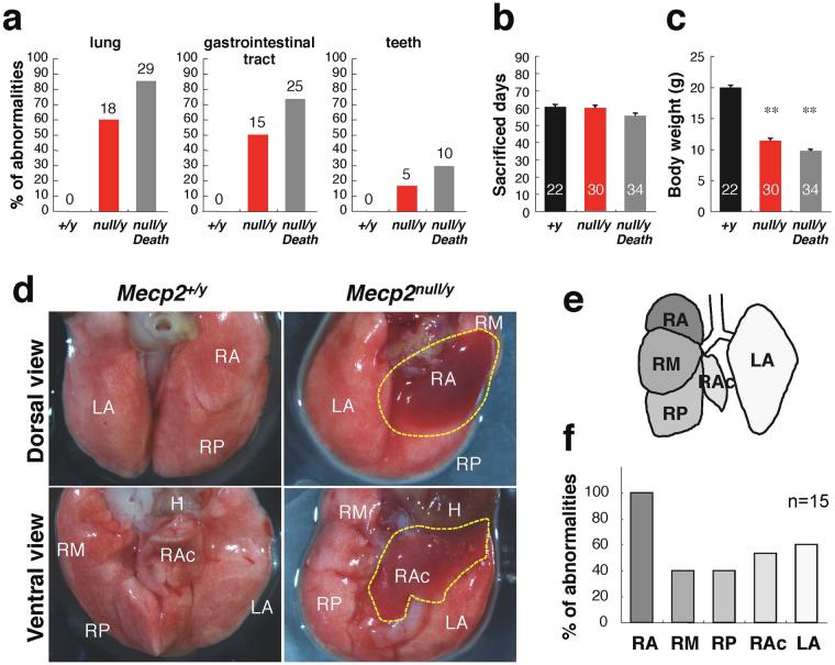 https://cdn.ncbi.nlm.nih.gov/pmc/blobs/a2de/5607245/c6d532fbe05c/41598_2017_12293_Fig1_HTML.jpg