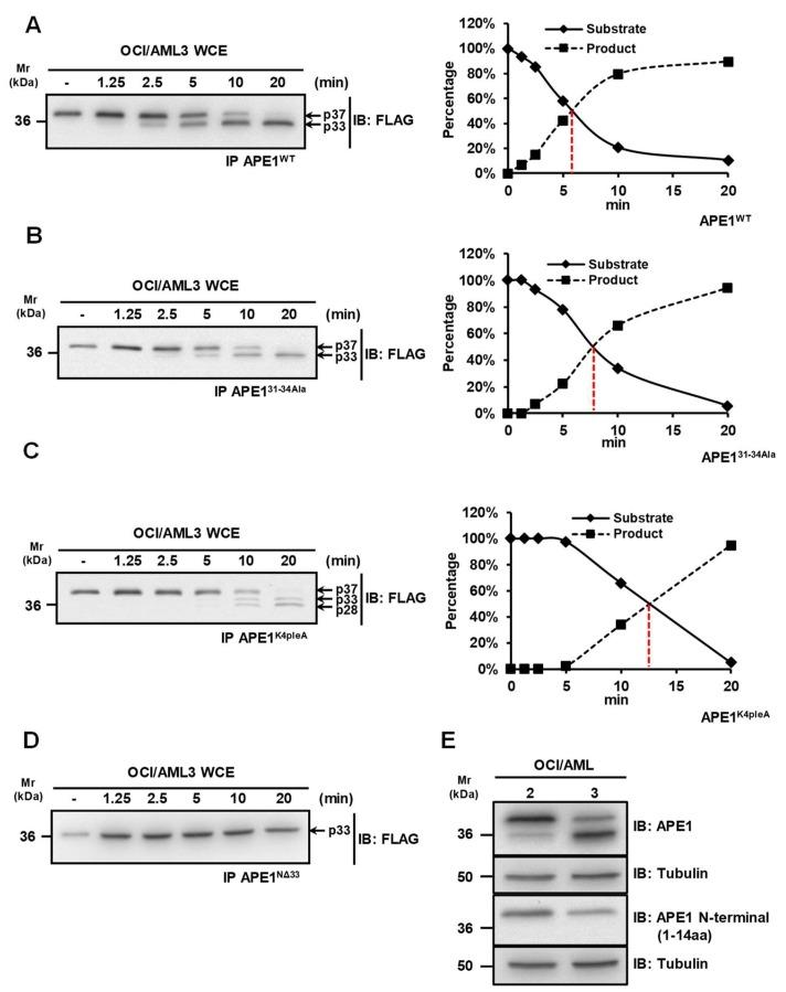 https://cdn.ncbi.nlm.nih.gov/pmc/blobs/a2de/7226146/cbed5e9ad9b7/biomolecules-10-00531-g001.jpg