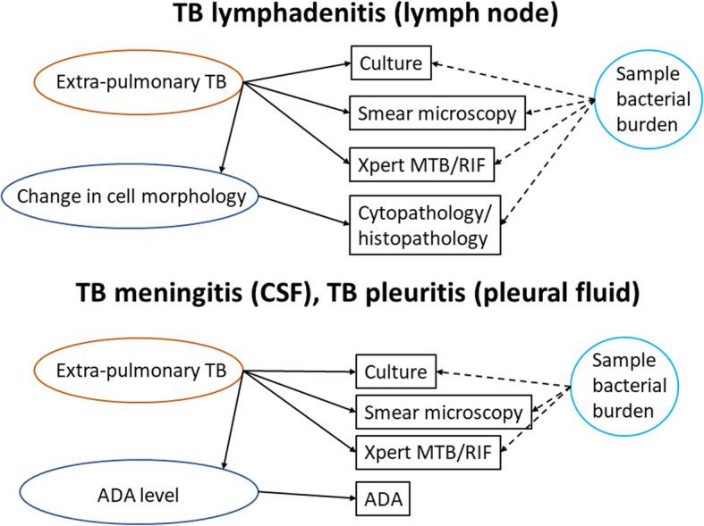 https://cdn.ncbi.nlm.nih.gov/pmc/blobs/a2de/9202094/93316fe5439c/41512_2022_125_Fig1_HTML.jpg