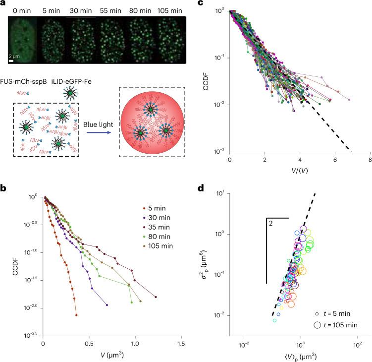 https://cdn.ncbi.nlm.nih.gov/pmc/blobs/a2df/10104779/7a6bcce1b131/41567_2022_1917_Fig2_HTML.jpg
