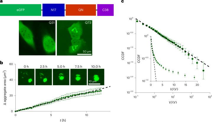 https://cdn.ncbi.nlm.nih.gov/pmc/blobs/a2df/10104779/7f780468c553/41567_2022_1917_Fig4_HTML.jpg