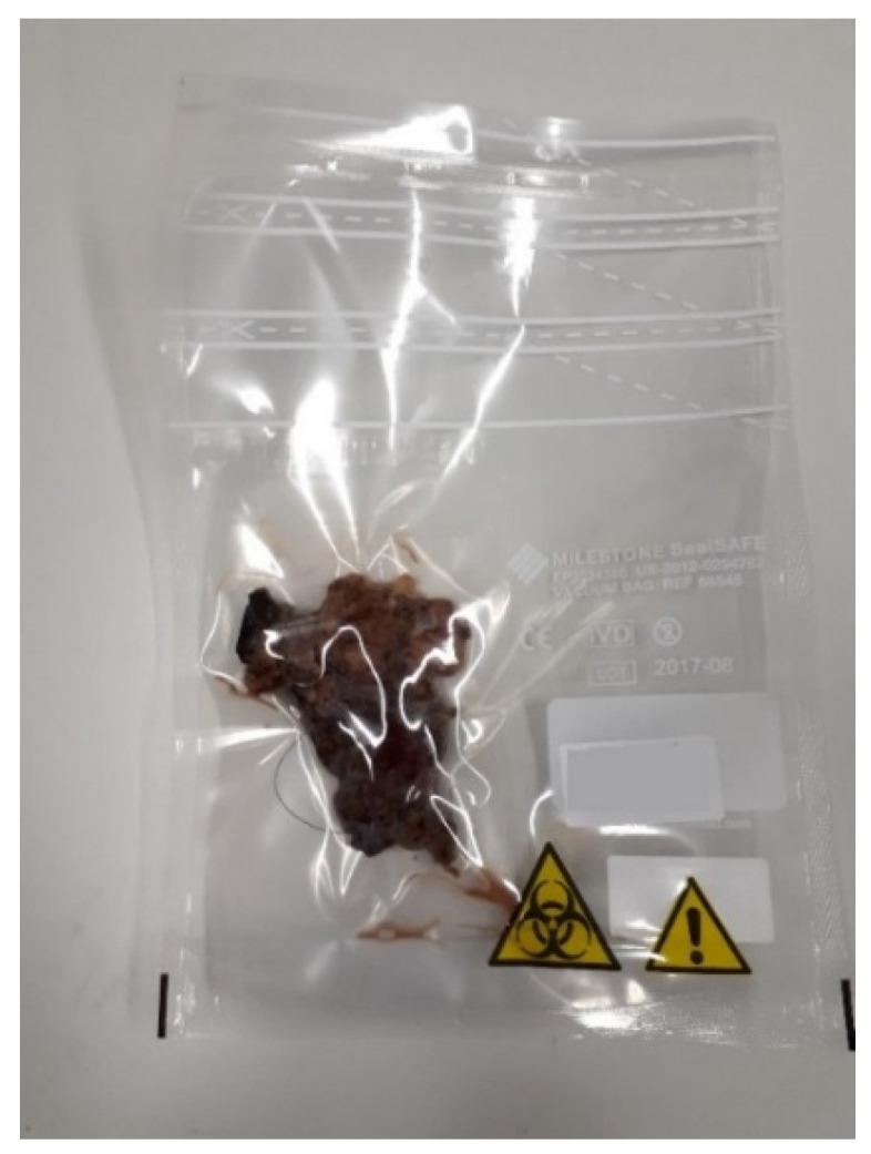 https://cdn.ncbi.nlm.nih.gov/pmc/blobs/a2df/8938816/b6b796c832ef/mps-05-00024-g003.jpg