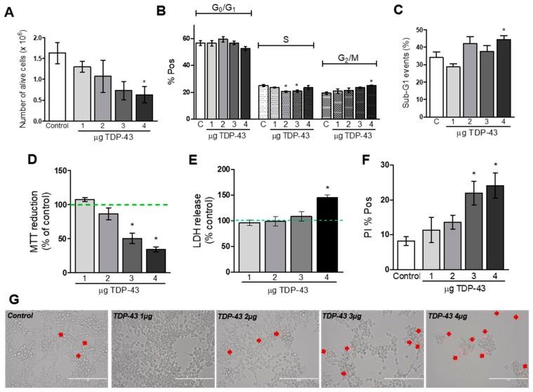 https://cdn.ncbi.nlm.nih.gov/pmc/blobs/a2e1/7016571/ac4ee8fb7fa2/cells-09-00068-g003.jpg