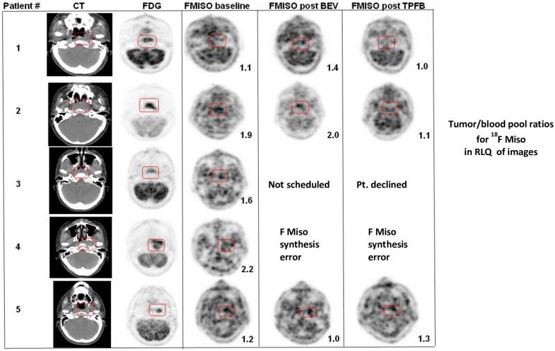 https://cdn.ncbi.nlm.nih.gov/pmc/blobs/a2e2/9894485/d5cb42f1ea6a/pone.0276651.g002.jpg