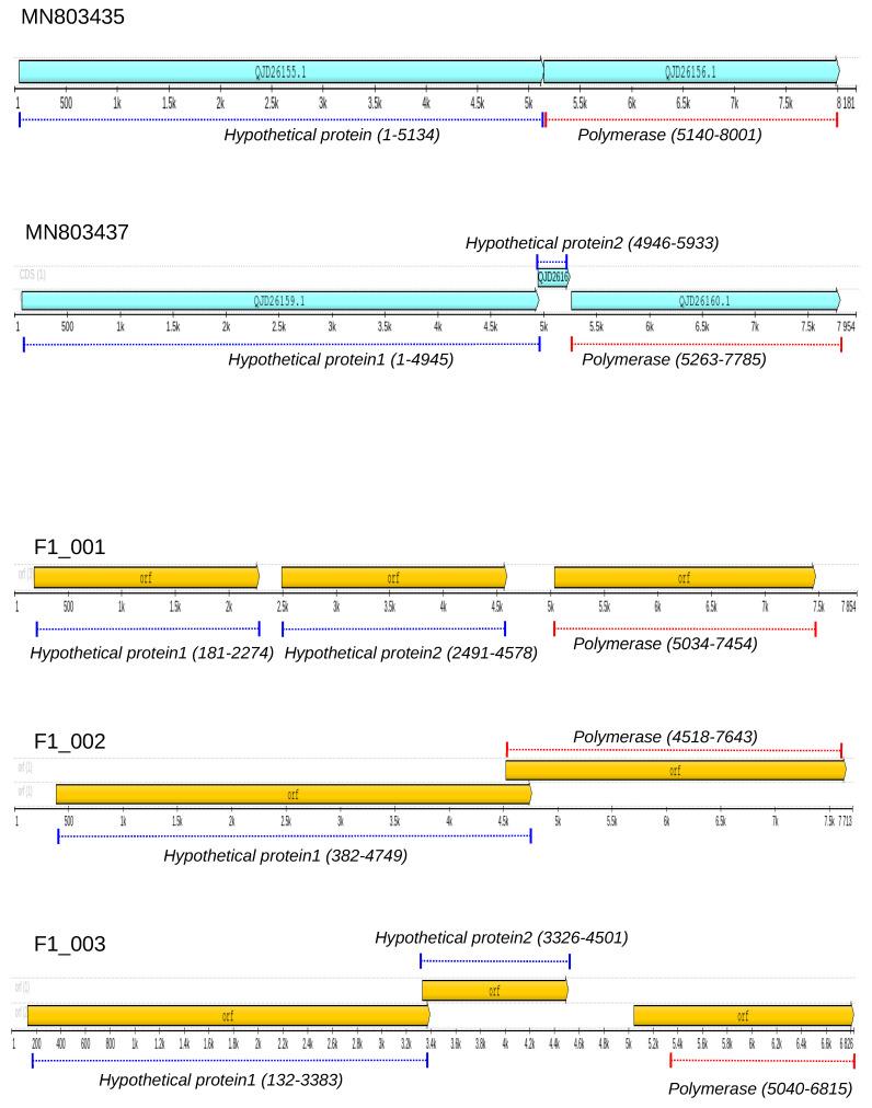 https://cdn.ncbi.nlm.nih.gov/pmc/blobs/a2e3/10819564/dcf2a4b073e4/microorganisms-12-00206-g001.jpg