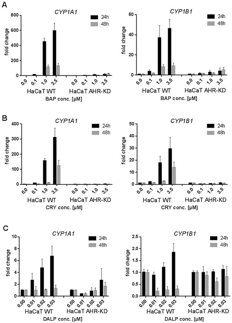 https://cdn.ncbi.nlm.nih.gov/pmc/blobs/a2e4/5616077/994e44e1a614/gr2.jpg