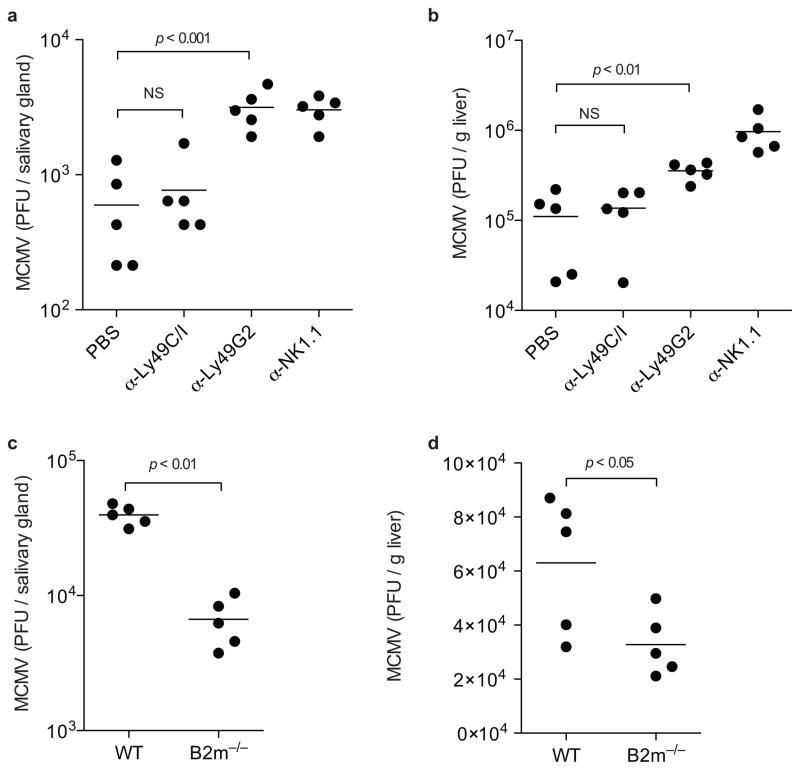 https://cdn.ncbi.nlm.nih.gov/pmc/blobs/a2e5/2842453/1e536b671033/nihms176584f5.jpg