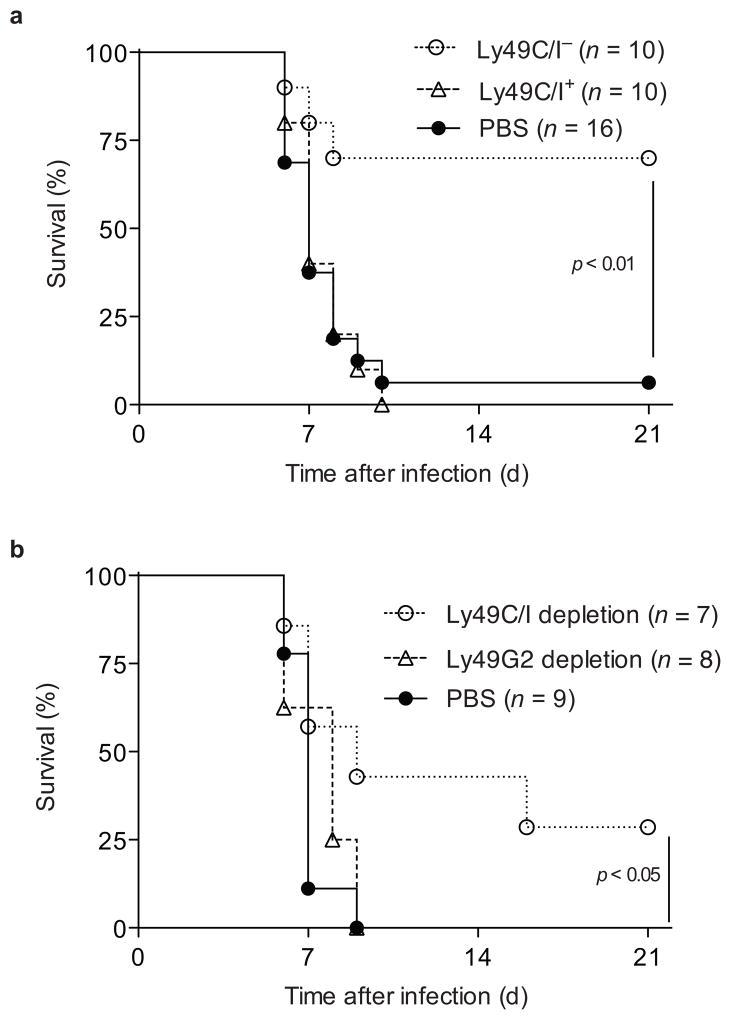 https://cdn.ncbi.nlm.nih.gov/pmc/blobs/a2e5/2842453/bcd730382e32/nihms176584f6.jpg