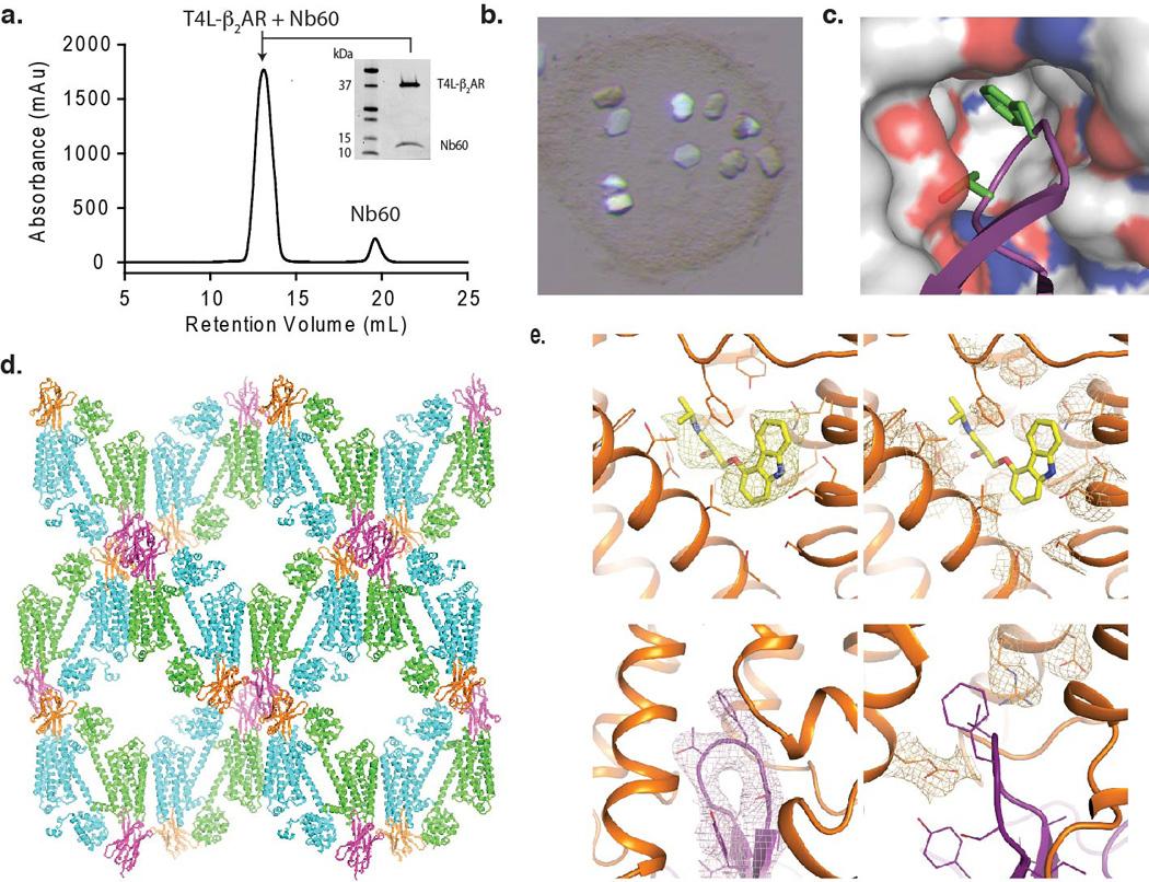 https://cdn.ncbi.nlm.nih.gov/pmc/blobs/a2e5/4961583/f2558b94893c/nihms794904f6.jpg
