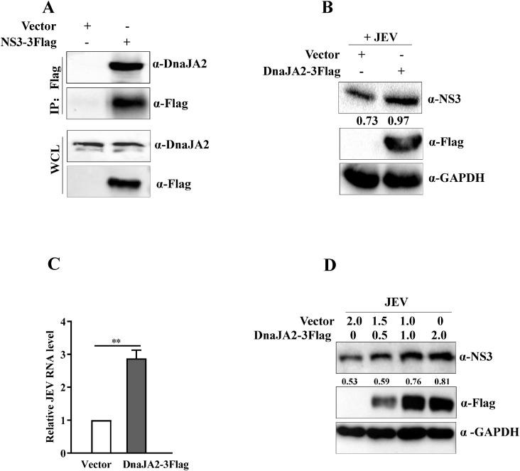 https://cdn.ncbi.nlm.nih.gov/pmc/blobs/a2e8/10485146/5e9a43f2806e/gr1.jpg
