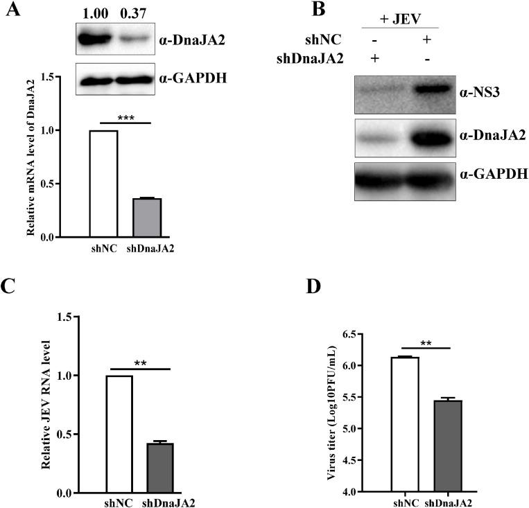 https://cdn.ncbi.nlm.nih.gov/pmc/blobs/a2e8/10485146/e2b31f69f53e/gr2.jpg