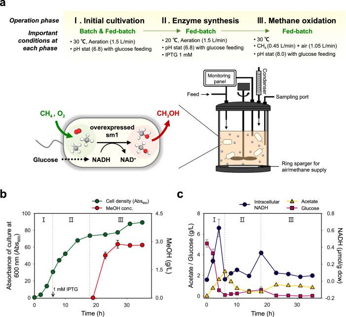 https://cdn.ncbi.nlm.nih.gov/pmc/blobs/a2ea/11116448/710181d15fa3/41467_2024_48671_Fig7_HTML.jpg